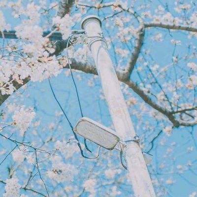 果盘凡人三国志变态版下载